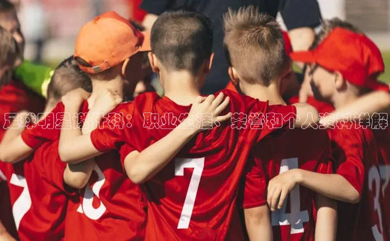 悟空体育入口引力传媒足球明星谢什科：职业生涯、荣誉和个人资料详解