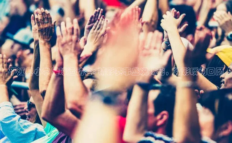 悟空体育歌力思平江县小学足球运动会: 精彩赛事盛况揭秘，精彩瞬间回顾