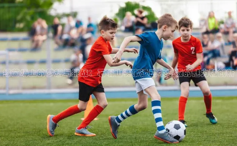 悟空体育入口小米绿茵场上的梦想与挑战：石嘴山赛事运动木地板的魅力和创新