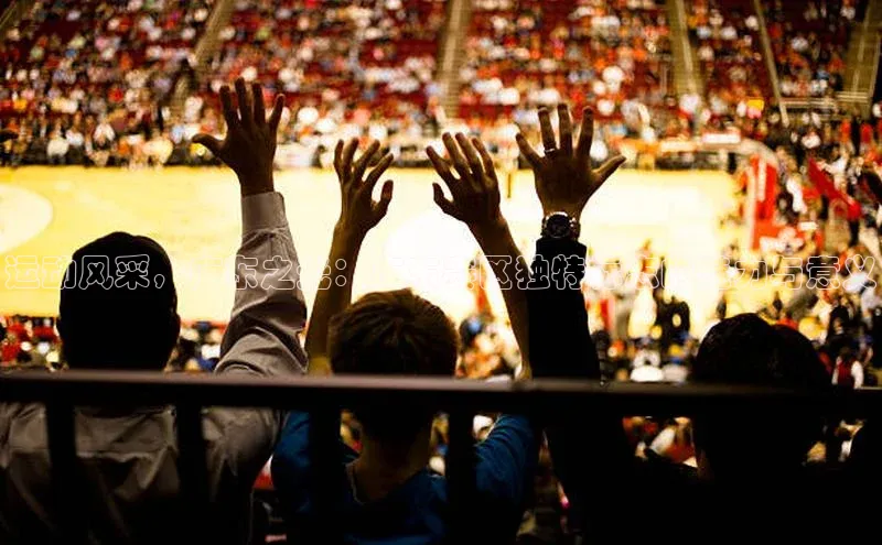 运动风采，广东之光：广东赛区独特标志的魅力与意义