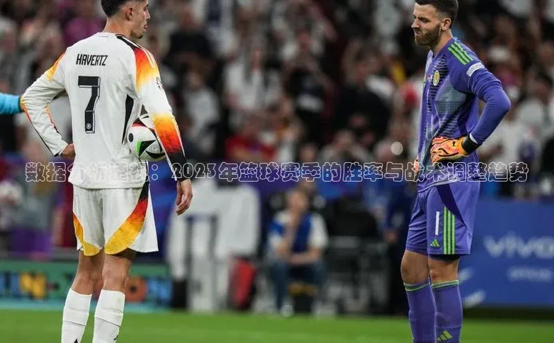 数据分析透视：2023年篮球赛季的胜率与战术调整趋势