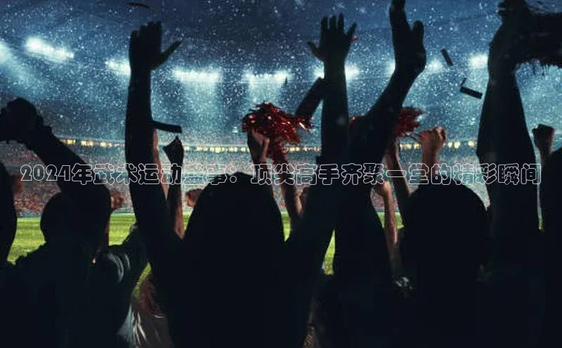 2024年武术运动盛事：顶尖高手齐聚一堂的精彩瞬间