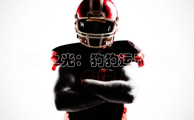 襄阳之光：狗狗运动盛宴