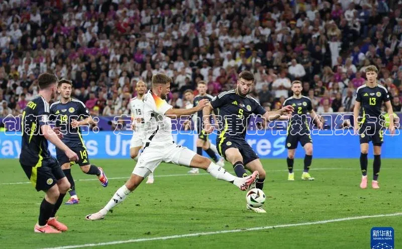 创新策略：定向运动赛事的有效组织方法