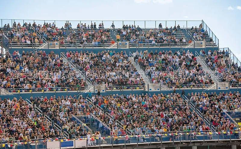 龙岩健儿在国际竞技舞台的荣耀之旅：2023年国家赛事综述