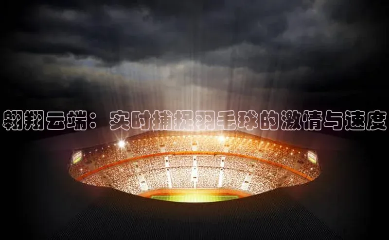 翱翔云端：实时捕捉羽毛球的激情与速度