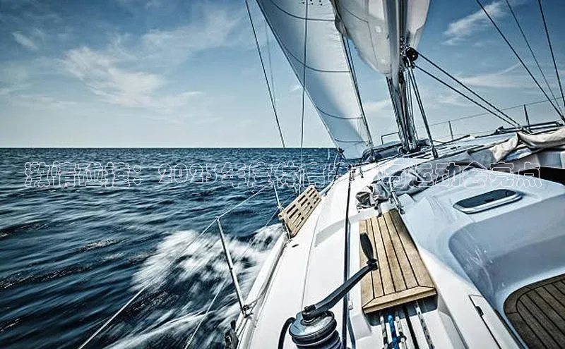 激情碰撞：2023年度体育赛事与运动会亮点