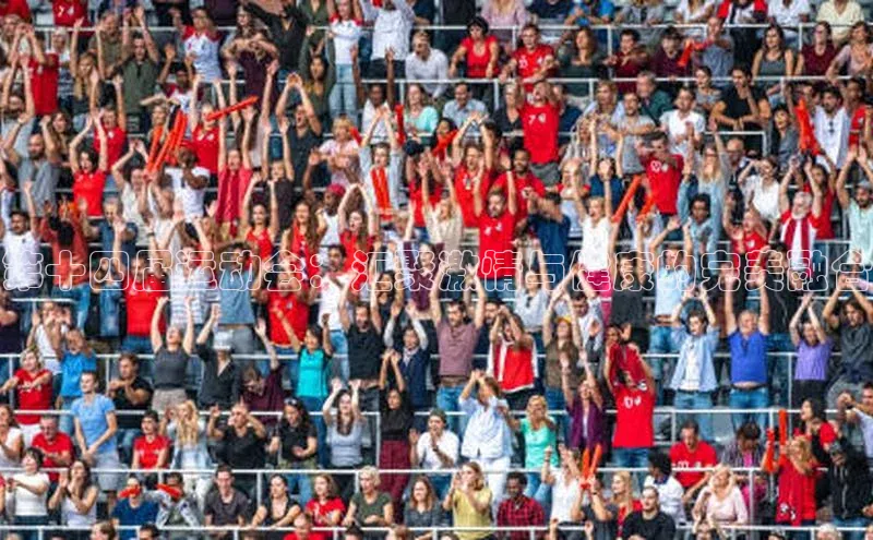 第十四届运动会：汇聚激情与健康的完美融合