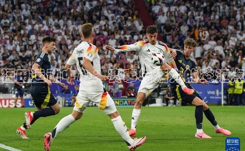 福田运动中心：赛事与活力的交汇点