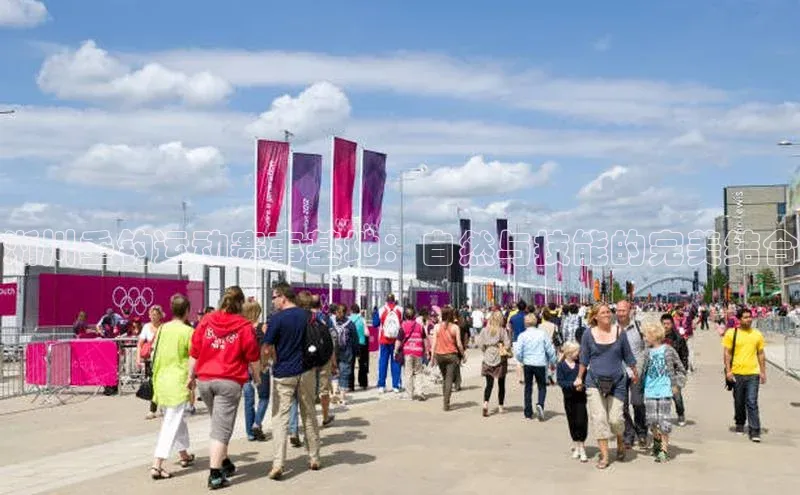 淅川垂钓运动赛事基地：自然与技能的完美结合