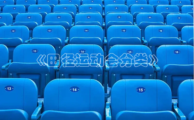 《田径运动会分类》