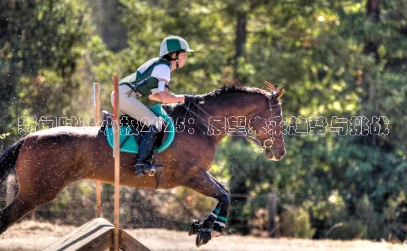 悟空体育网页版官网