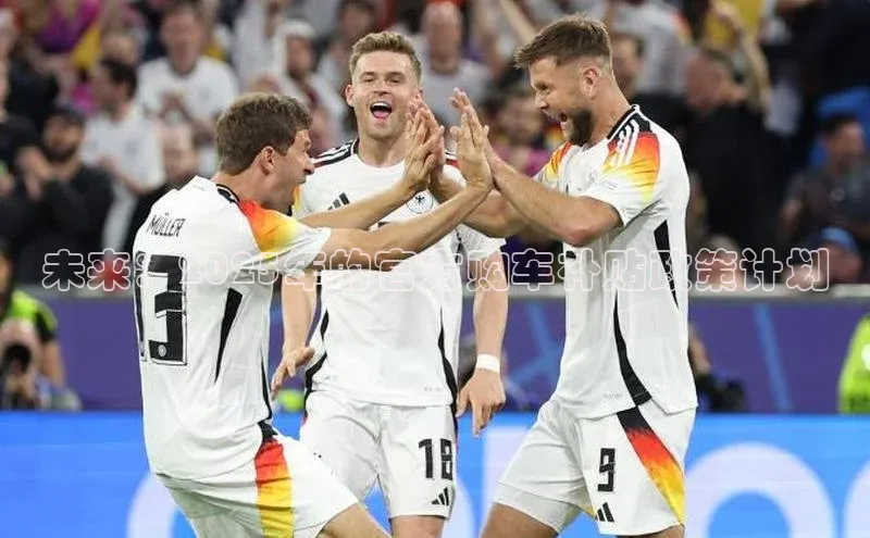 未来：2025年的官方购车补贴政策计划